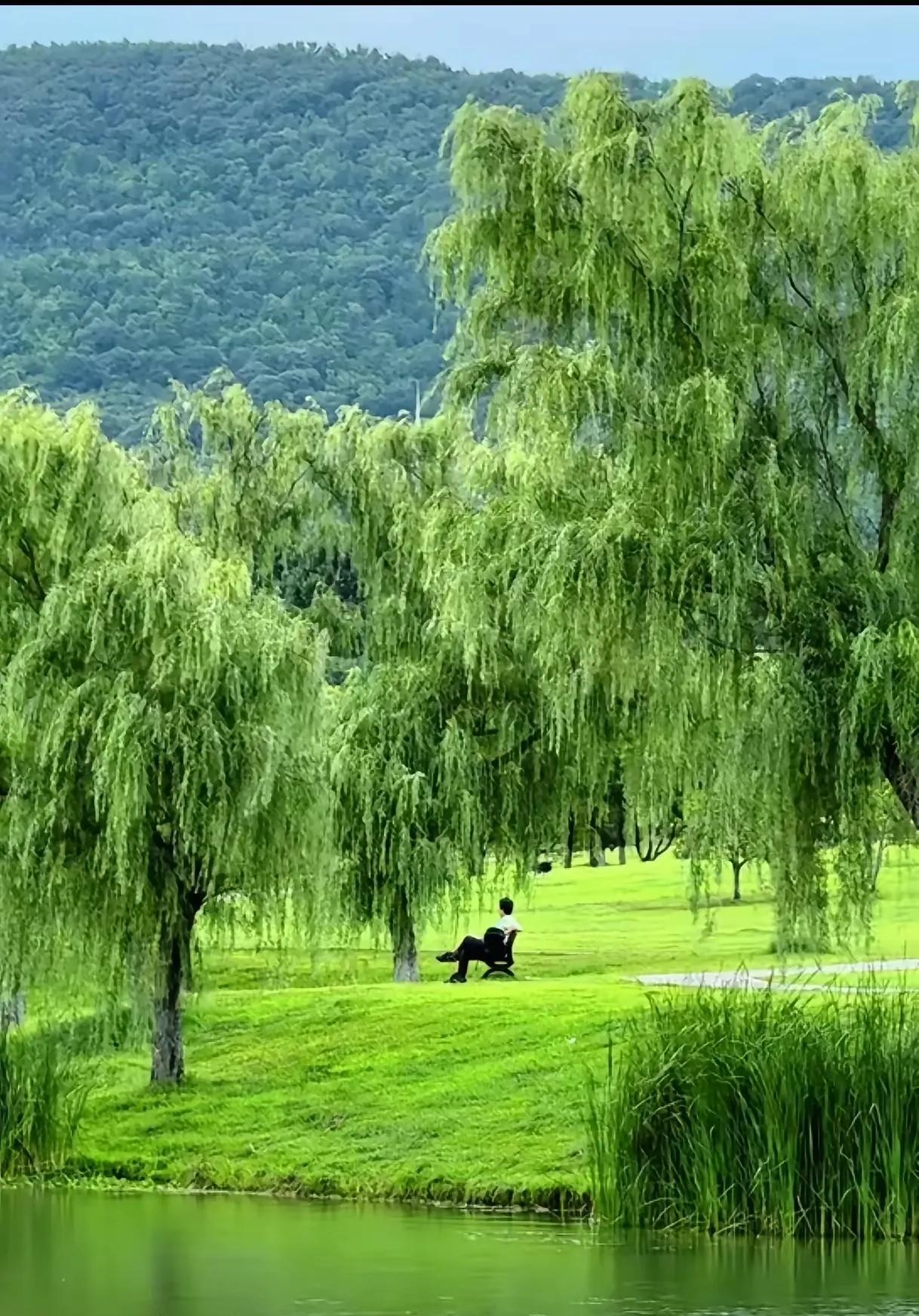 上联：弯月斜挂湖边柳
下联：？
