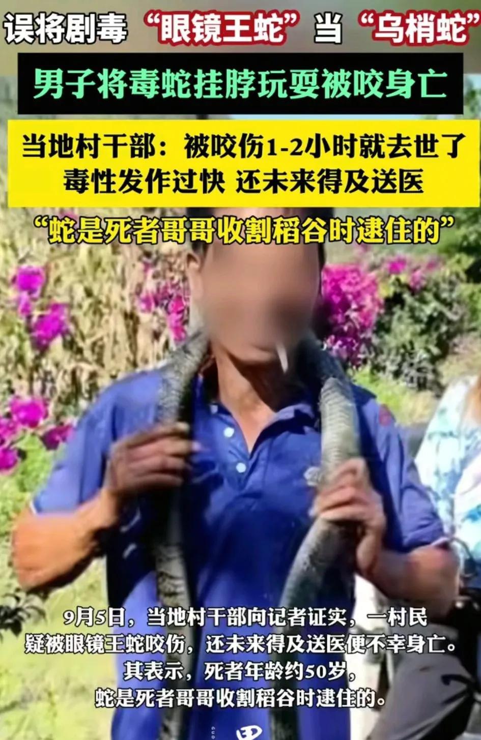 这是谁的部将，太猛了。
把眼镜王蛇当成无毒蛇，不仅拿在手上把玩，还挂到脖子上耍帅