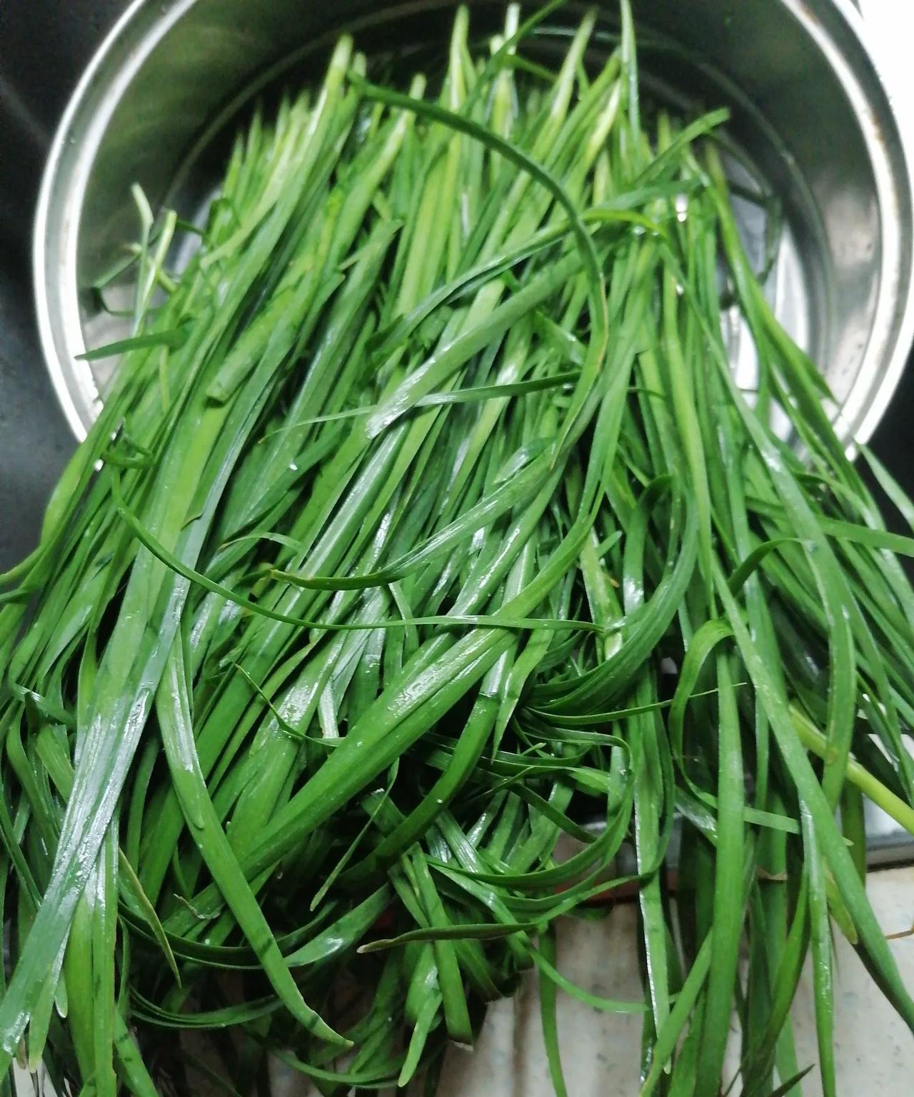 每天都要到电商网络平台的提菜点去拿菜，我对提菜点的老板很尊重，挣这点钱不容易，每