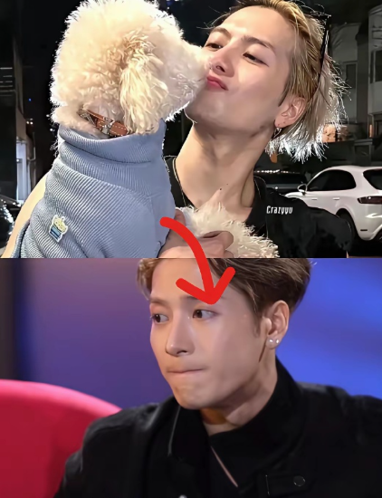 何炅沉默了
白敬亭也沉默了
不是因为顶流偶像歌手王嘉尔又发歌了，而是因为他说了一