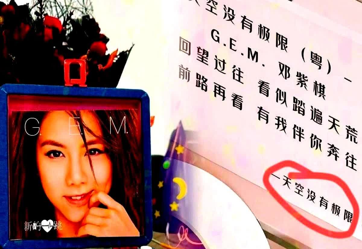 刚刚查了一下邓紫棋，不查不知道，一查令人心疼。

唱遍大街小巷的邓紫棋，竟然
