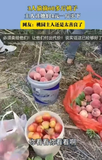 6月10日，安徽，三个人偷了女子60斤桃子，她没有报警，而是以4元1斤卖给了对方