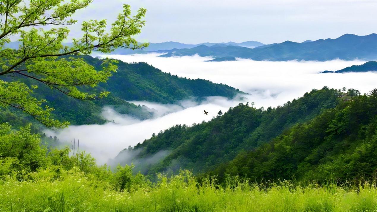 欲把西湖比西子：15句经典写景诗词（六）