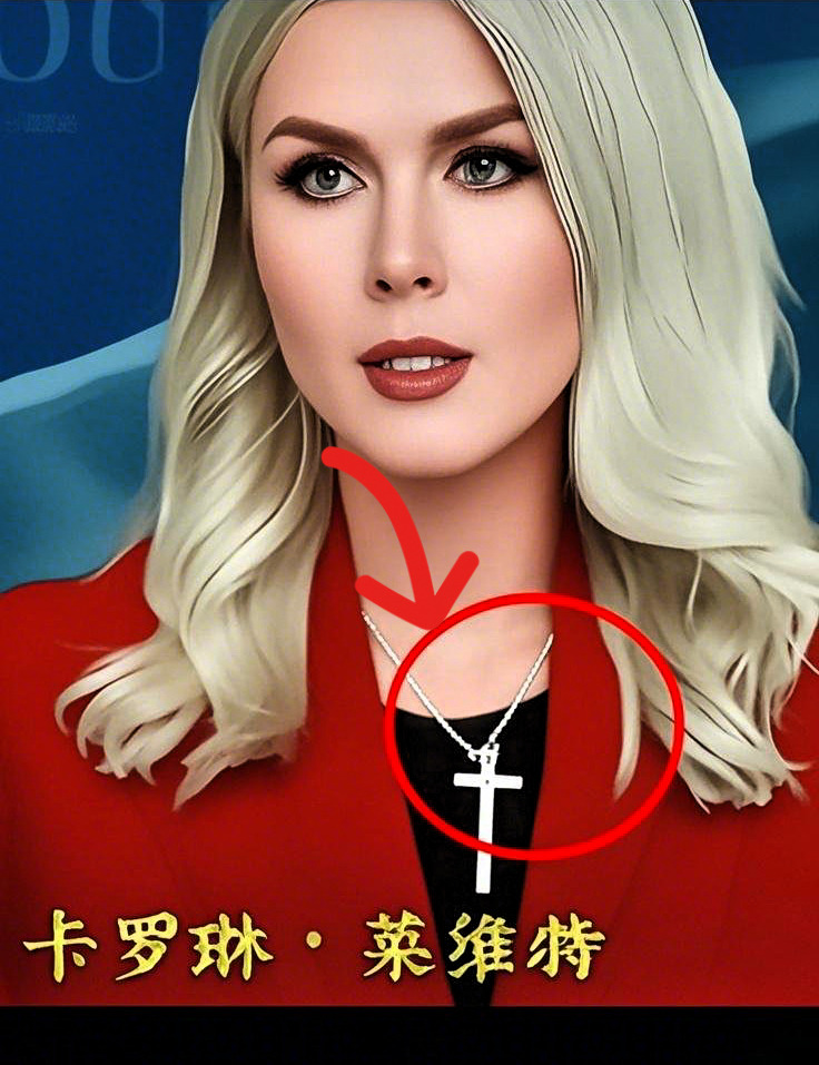 白宫发言人贸易言论引争议











啥？白宫发言人莱维特竟然说东方大