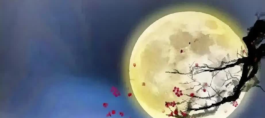 我想你了，明明知道你是别人的人
不属于我，却还是那么想你，
那么爱你，牵挂你