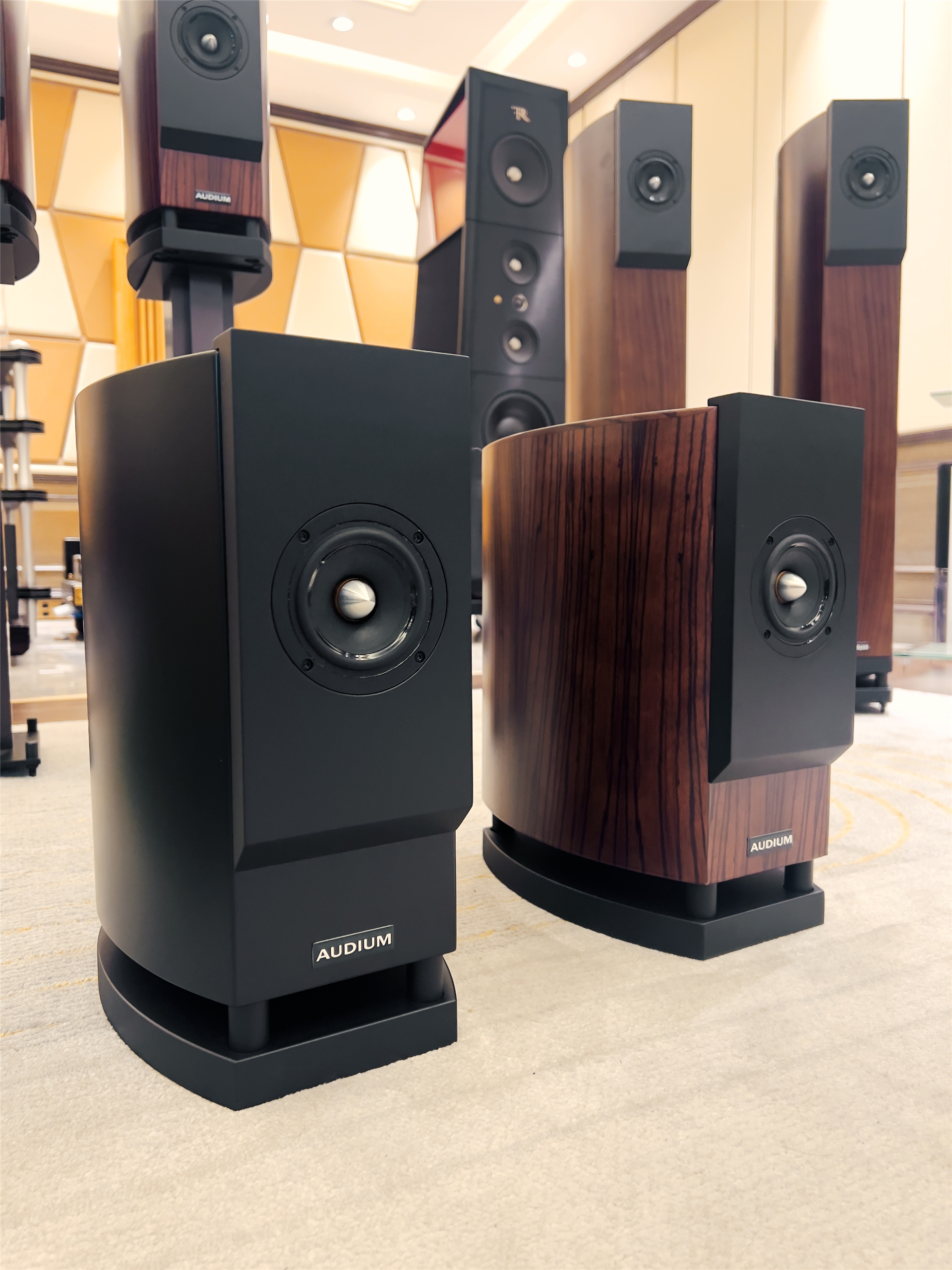 德国AUDIUM(奥笛)：声学与生活美学的融合