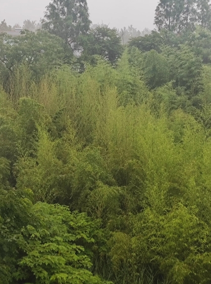 活该他发财！”西安高陵，一男生乘坐公交车，看到西瓜摊想吃西瓜，摊主二话不说，拿起
