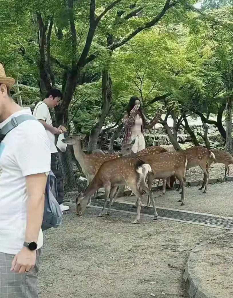 他爹要是没钱，你们还会觉得他帅吗？
