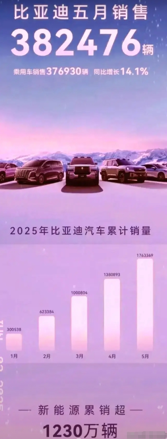 1230万辆！比亚迪扔出王炸，燃油车不得不释怀！我以为比亚迪今年第一个季度突破1