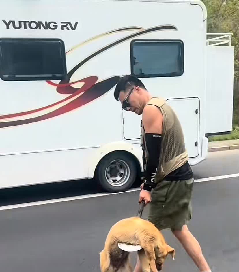 内蒙古巴彦淖尔，一只大狗在公路上被撞身亡，夫妻路过好心将其掩埋，随后意外发现自己