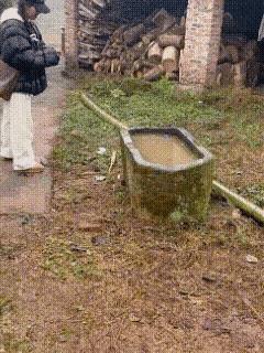 这么顽皮的女生不多见啊！