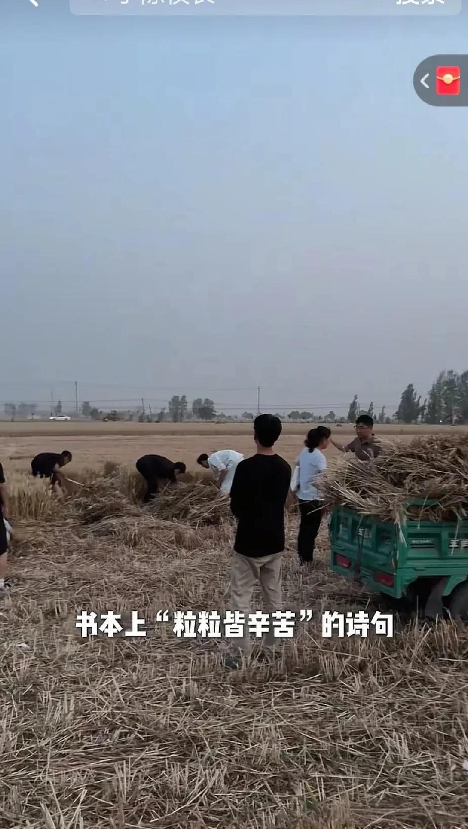 校长叫几十名学生去“自家”麦地里割麦子，这样的壮举多少老师都想干，可是谁也不敢啊