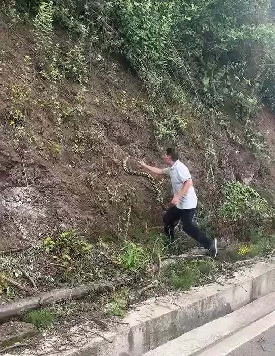今天在下乡的路上，看到了让我震惊的一幕。
在我前方的一辆车上突然下来一位大爷，他