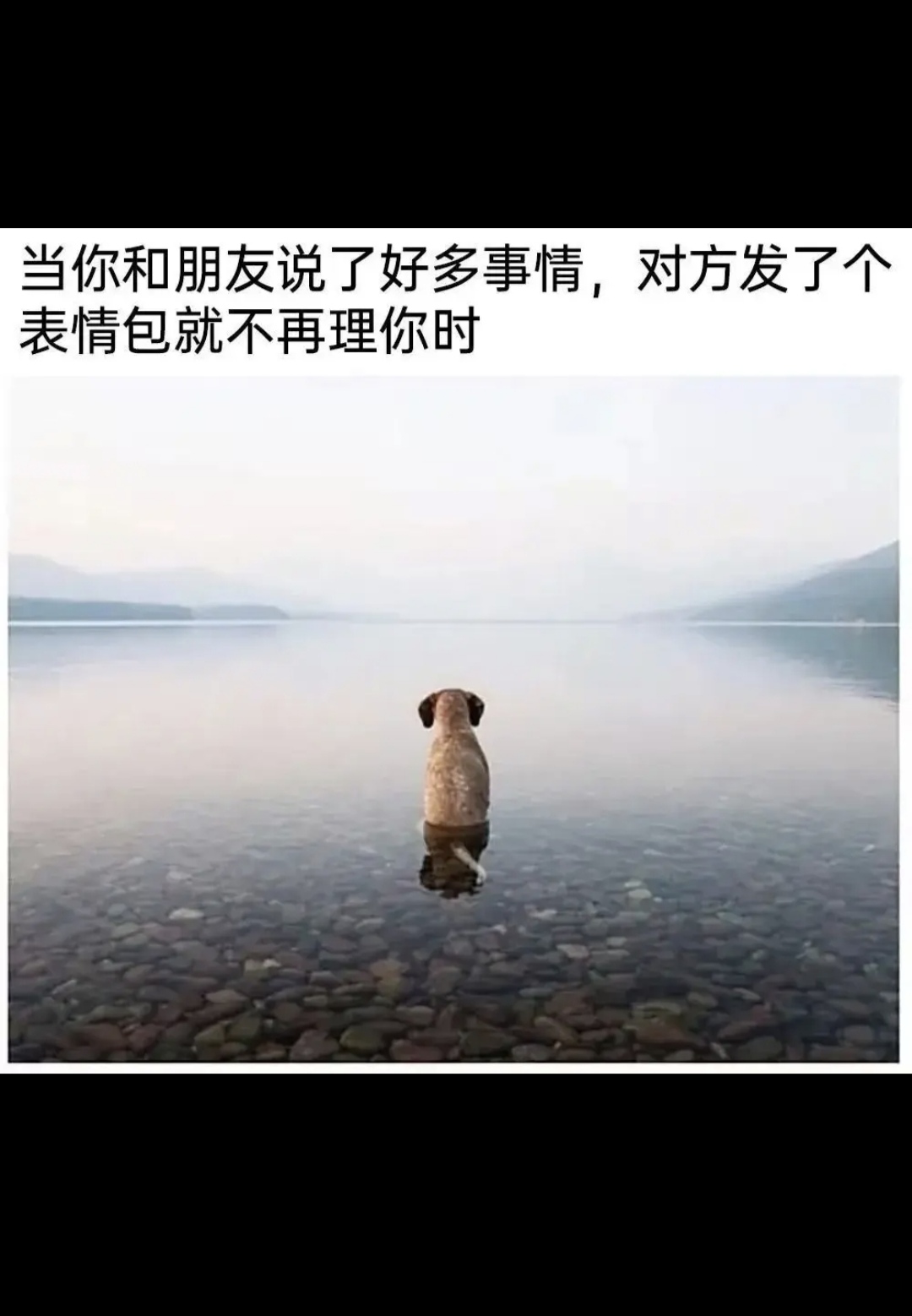 你们有没有这样的朋友