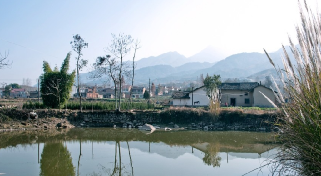 重庆，一对夫妻承包了120亩地养鱼，经营多年，鱼塘生意兴隆。然而，2021年，街