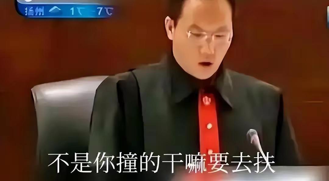 要是武汉大学杨景媛能从法学专业毕业进入司法系统，一定能成为法学界“三大巨头”！