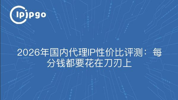2026年国内代理IP性价比评测：每分钱都要花在刀刃上