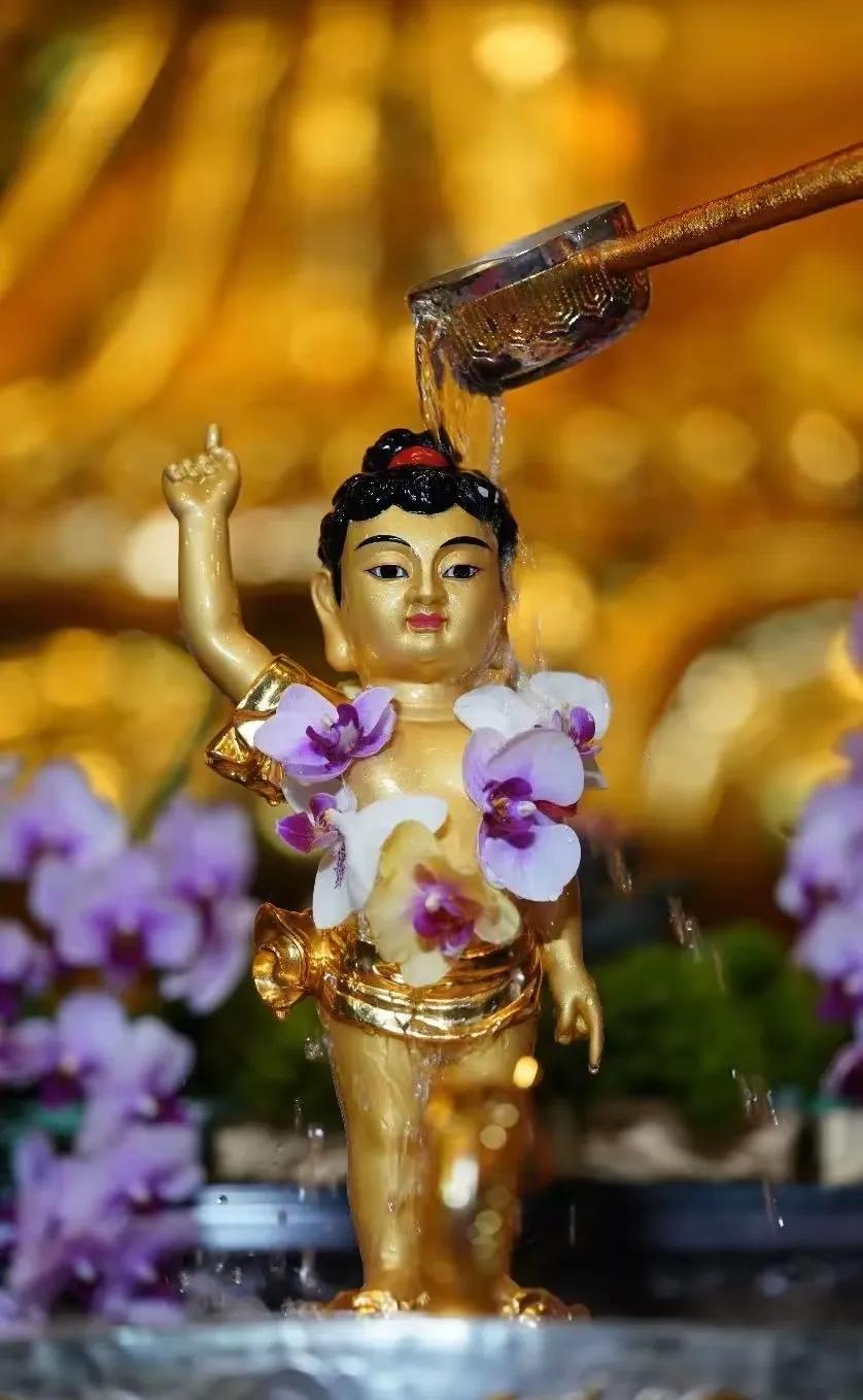 在这充满祥瑞的乙巳年，农历四月初八，即公历5月5日，我们满怀虔诚之心，迎来了本师