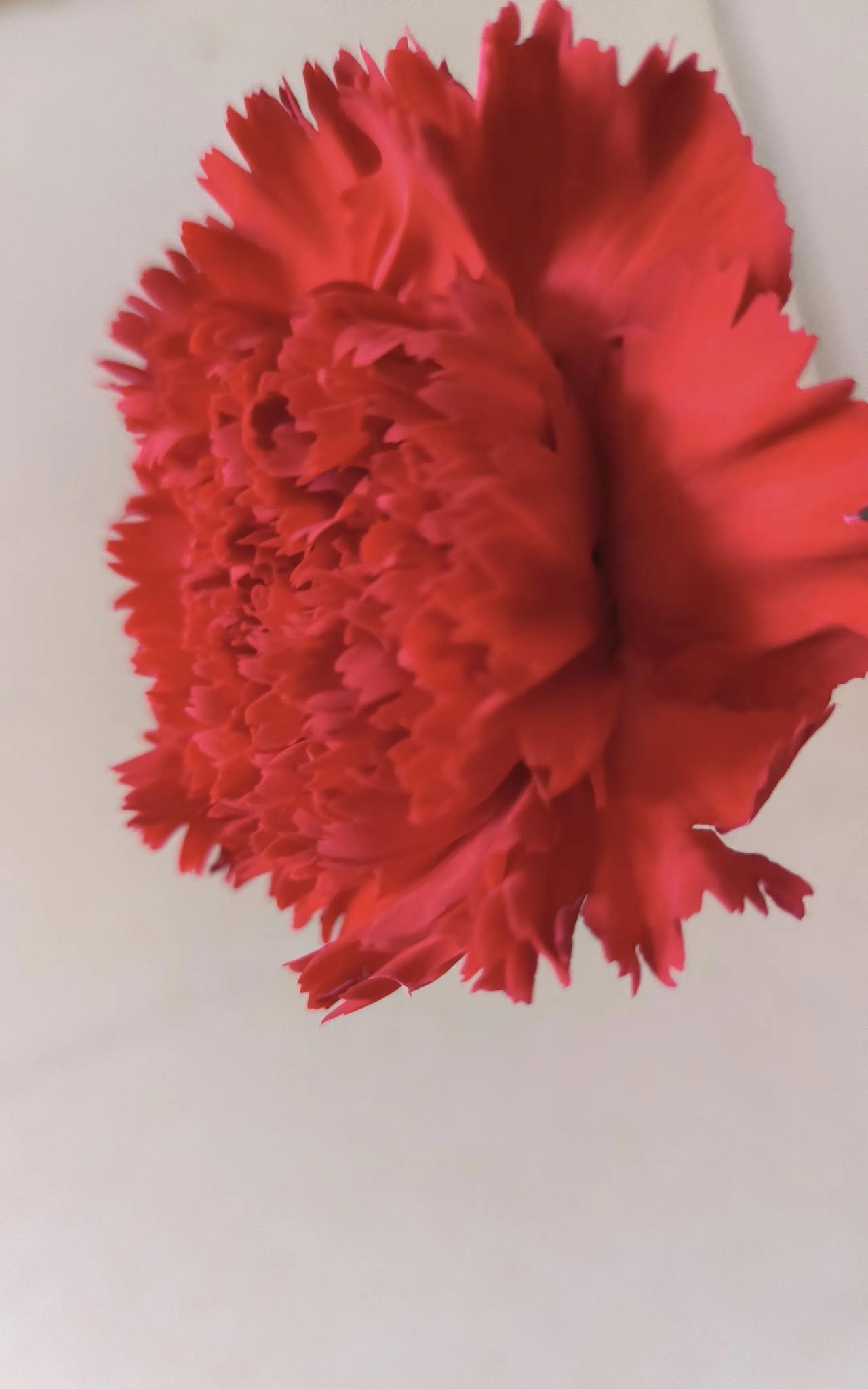 但凡婆婆在儿媳妇面前说话唯唯诺诺的，(就是所谓受气的)那么她的儿子要么太善良老实