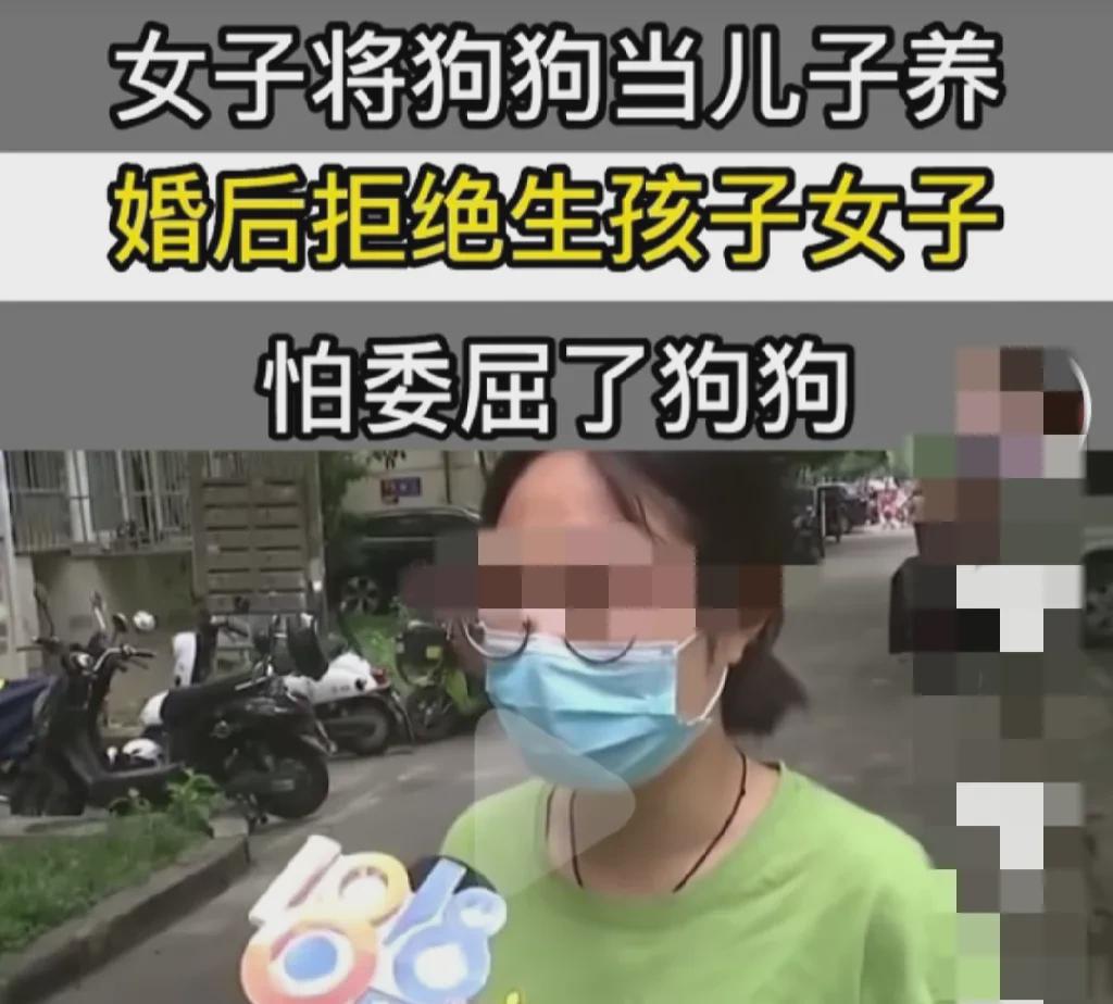 浙江杭州，一对夫妻非常爱狗，结婚后决定不生宝宝，“大宝”是他们的心头肉，胜似亲生