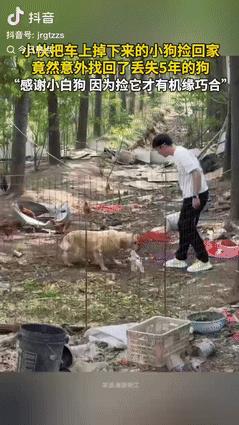 “好人有好报”具象化了！男子路上捡了一只小白狗，有人想要养，就打算送给对方，不料