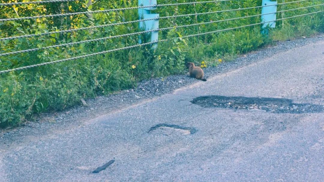 吐槽丨白哈巴不能修修路么？！但面对吹爆朋友圈的美景，我跪了（附线路攻略）