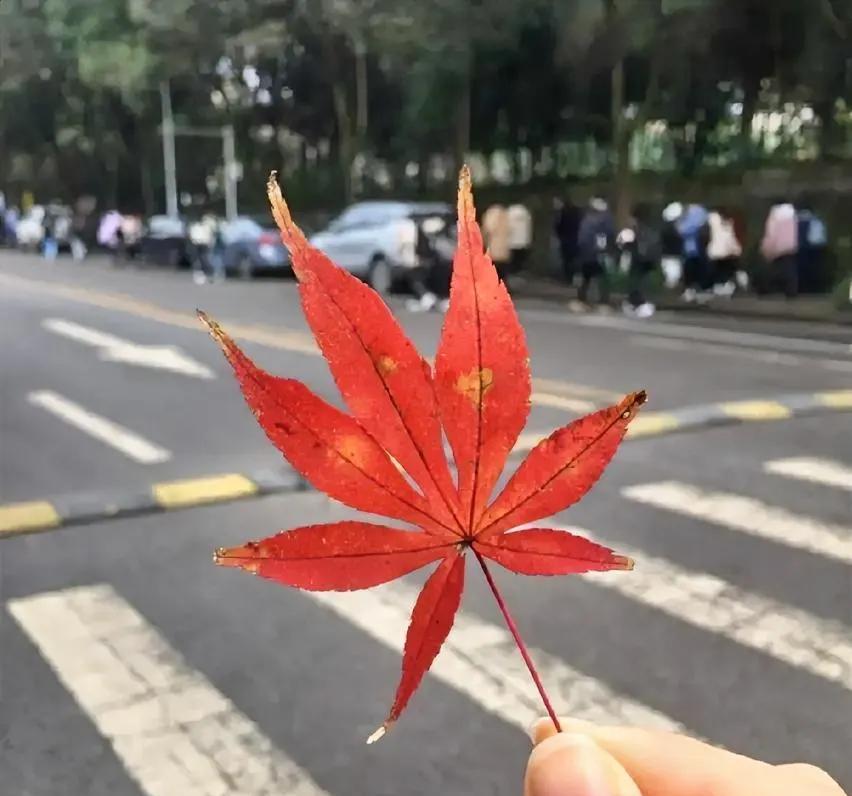 一位老中医说：
“告诉你一个永远不受伤的方法，那就是上天给你什么，你就接受什么，
