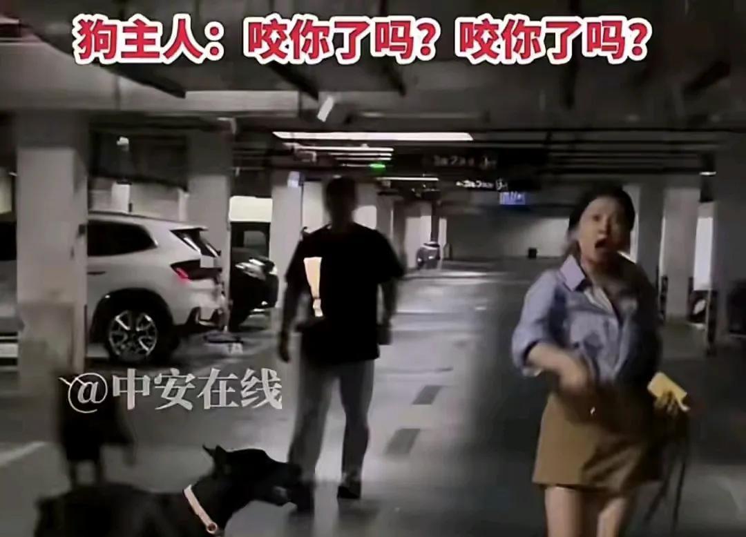 丹阳杜宾犬主人登门道歉了，不管有没有诚意，还是在舆论压力下被迫道歉，好歹是登门道