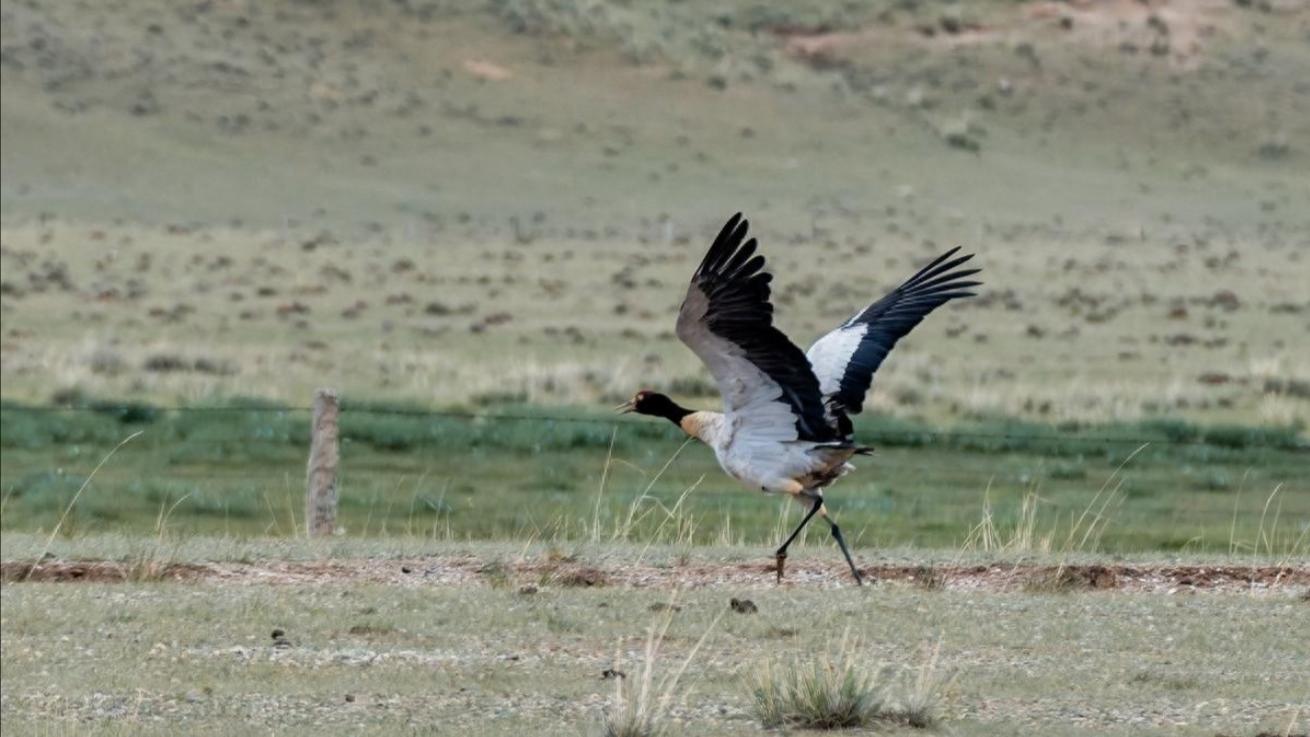 死亡终结婚姻，却锁死6亿债务：吴英的牢狱困局再无解
