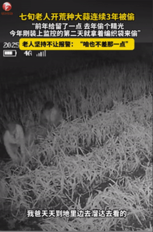 “缺大德了！”山东烟台，5月，一7旬老人开荒种大蒜，连续3年被偷，家人忍无可忍，