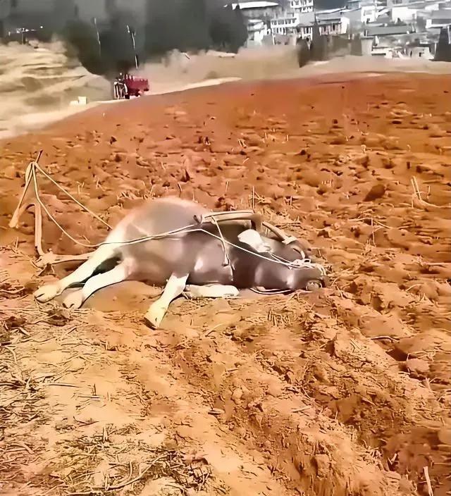 看完男人的心都碎了