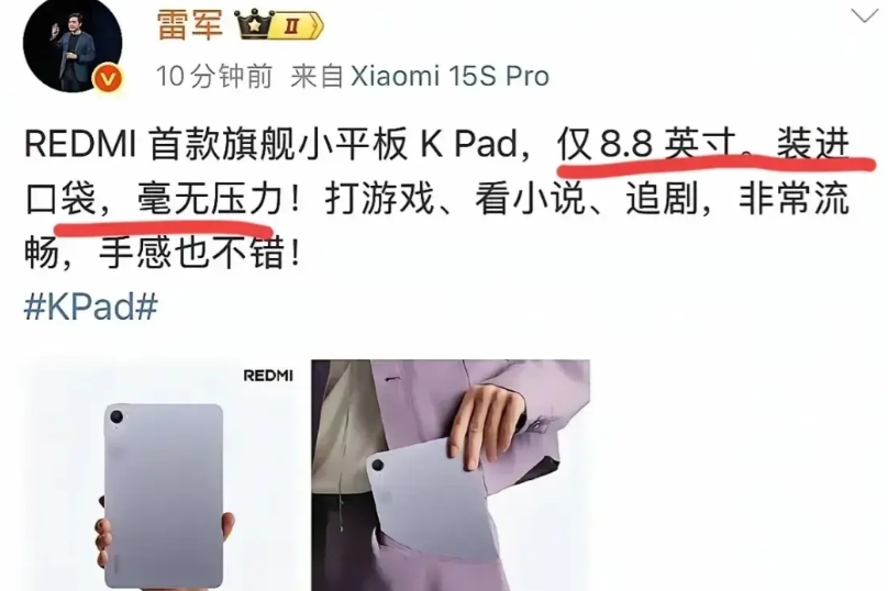 按说雷军也是个有头有脸的人，要身份有身份，要地位有地位。怎么说话就这么不经大脑，