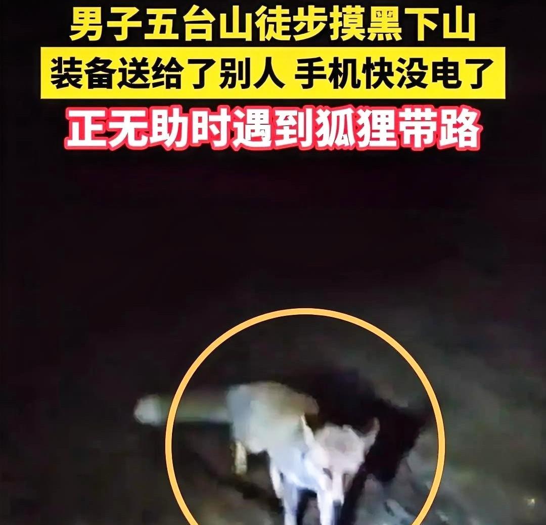 近日，我刷到一则视频，讲的是一名男子在黑夜时分被困于五台山。当时，他的充电宝出了