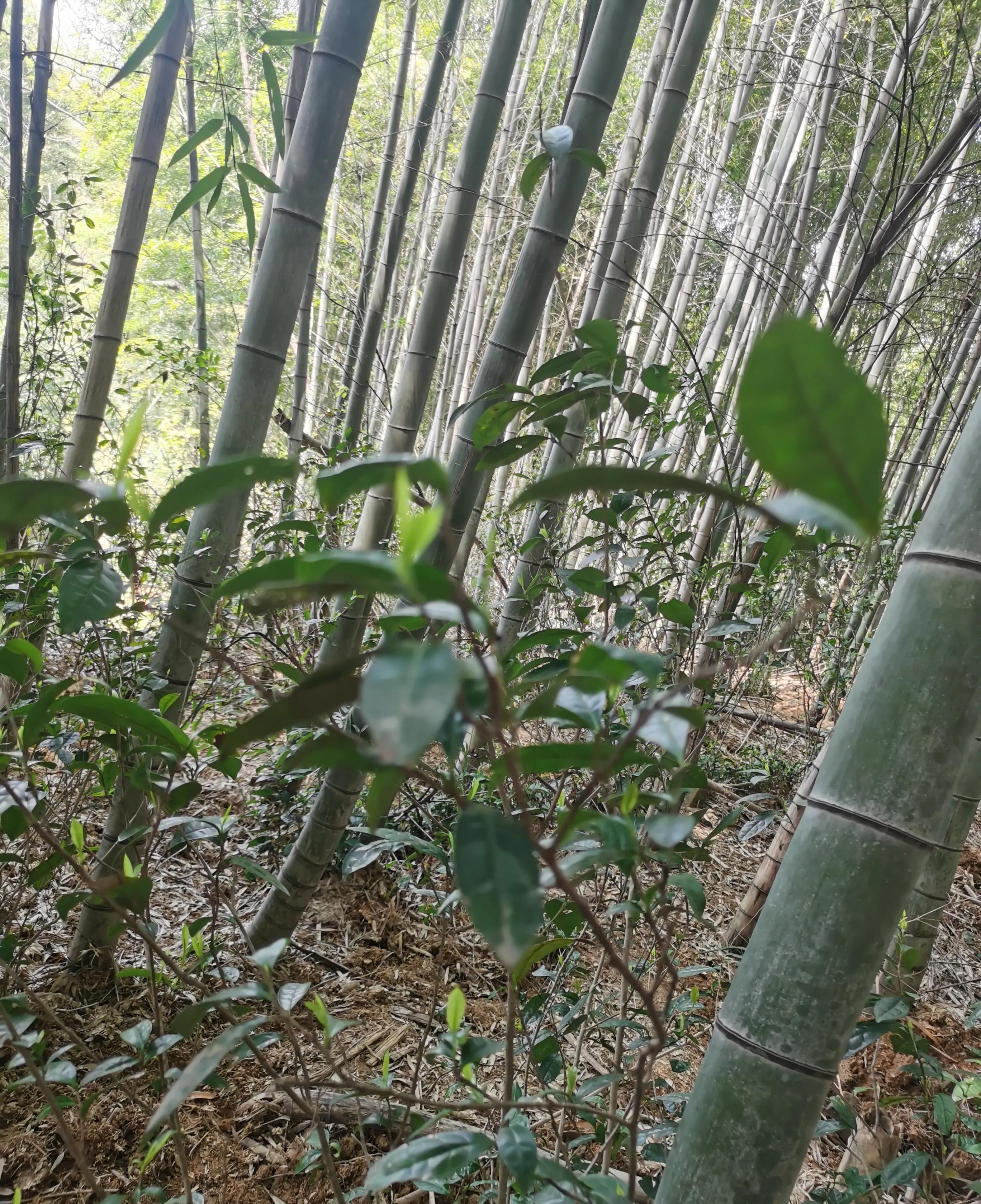 哎呀妈呀！中年夫妻生活简直是“灾难现场”！晚上睡觉如同分床睡，碰一下都嫌弃得要死