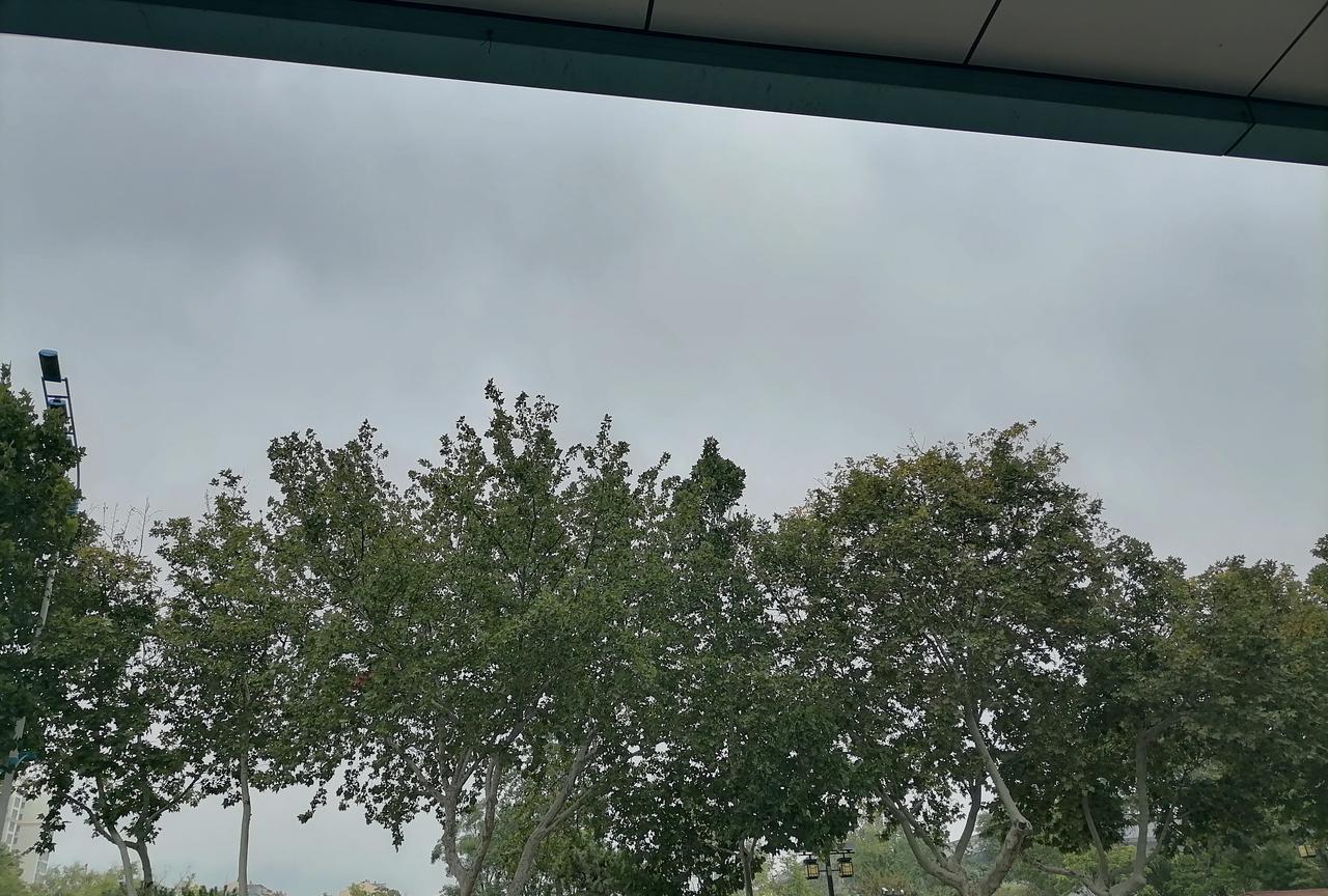 亲戚关系的常态是什么呢？
所有的亲戚关系有一条必然规律，只能是越来越疏远，先别急