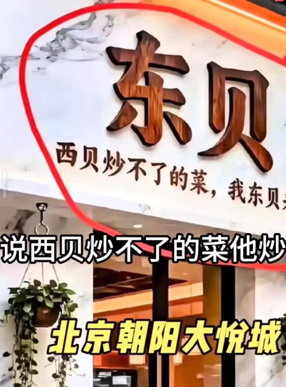 谁这么有才？
大家一致调侃西贝的时候，
突然就有人挺身而出，
挂起了东贝的招牌。