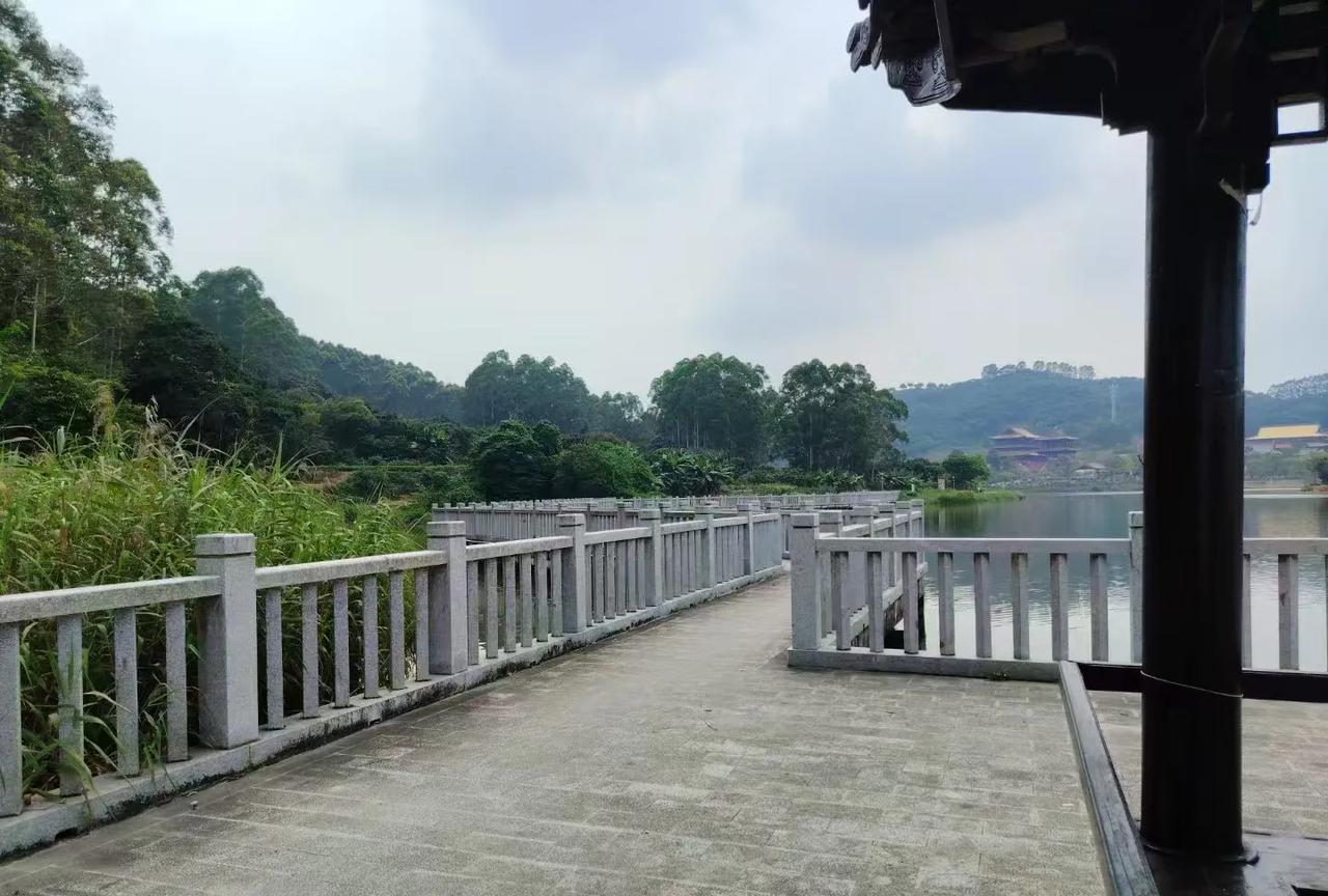 #用一首歌，证明你已经老了#《大约在冬季》，齐秦的经典之作。