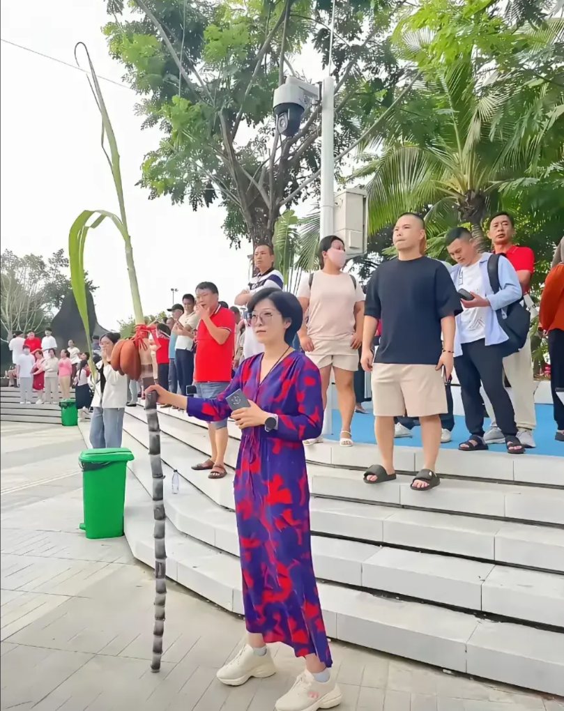 昨天陈老师告诉我，河北的高考“揭锅”了。光600分以上的孩子就有三万多人，这意味