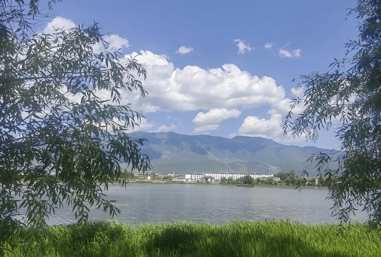 现在在湖边散步，心里总有点不安。看哪一片草，都像是躲藏着不明生物。看哪一棵树枝中