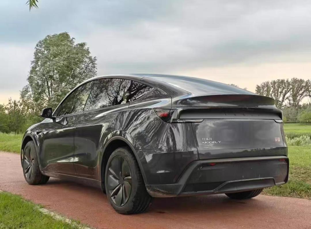 我太喜欢Y的车尾了，肥肥的