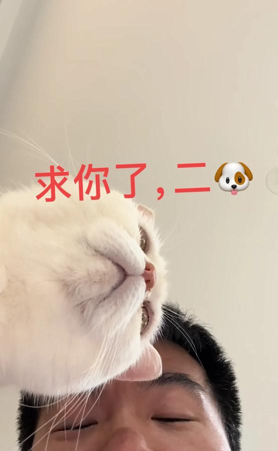 董宇辉："求你了，看我一下！" 这声无奈的"哀求"配上他龇牙咧嘴的抓狂表情，瞬间