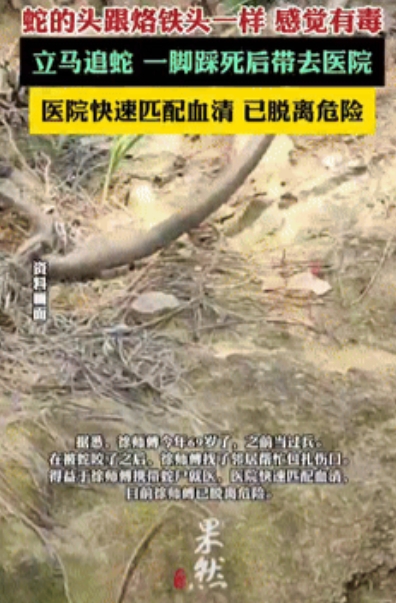 “姜还是老的辣！”浙江一69岁大爷去田里摘菜时，突然感觉自己的手被扎了一下，随后