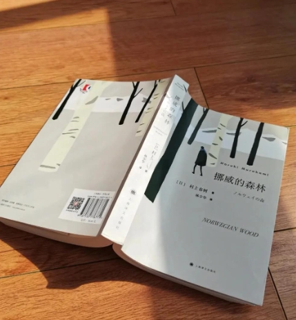 《挪威的森林》：一部青春的伤痛史诗，如何震撼千万读者心灵？