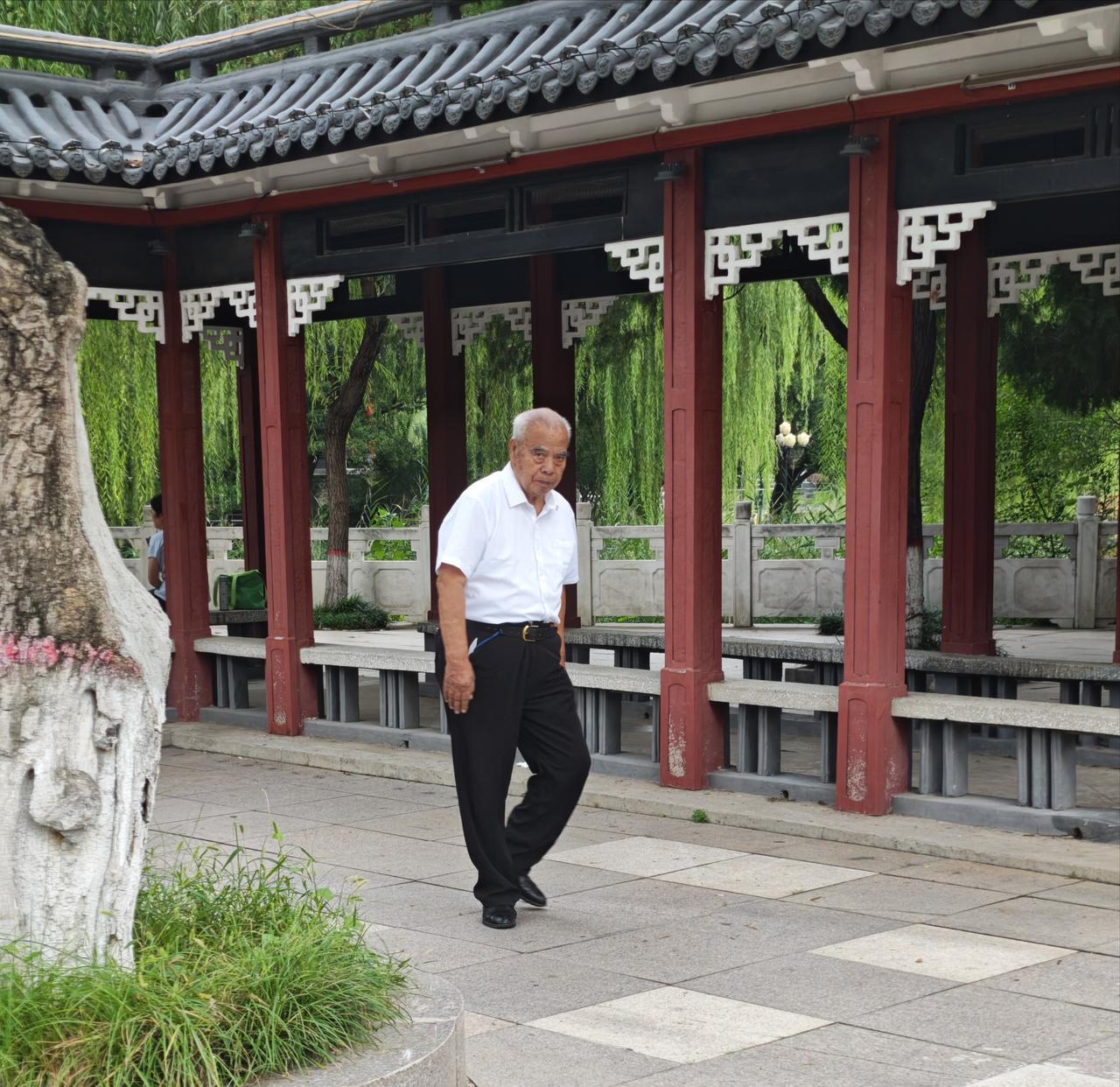 长安公园很荣幸又看见90高龄的老厂长（石家庄钢厂厂长于开明）在公园散步，不好打扰