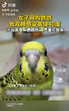 “倒大霉了！”河南郑州，一女子花50元在网上购买了只鹦鹉，没想到，收到货后的女子
