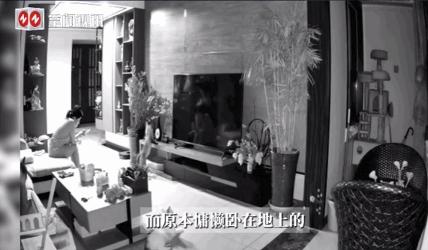 万物皆有灵！”近日，山东，一女子坐在沙发上玩手机时，家里养的几只猫突然反常的看向