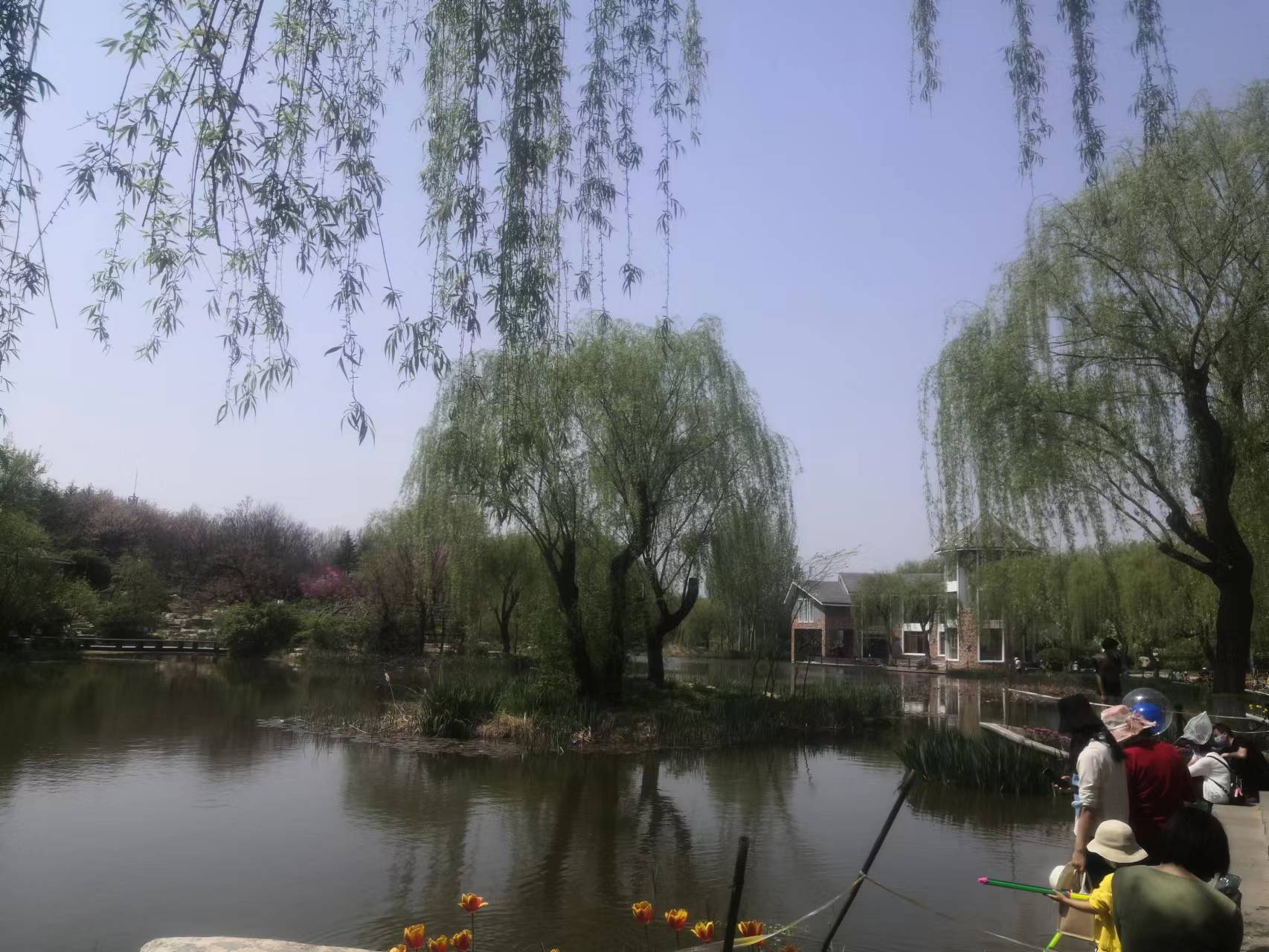 世界上最动情的事是在茫茫人海中遇见了你