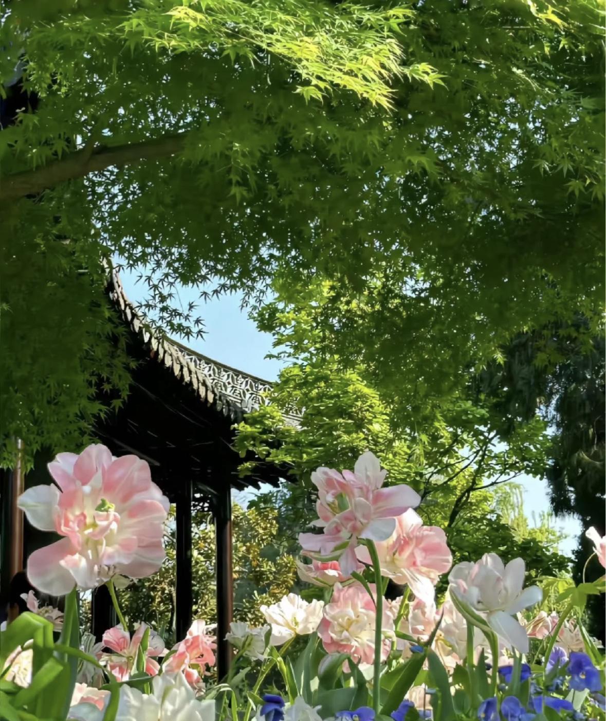 身弱之人，一定要及时补印！
身弱之人，补印 学习 培养一个爱好 插花喝茶 少看手
