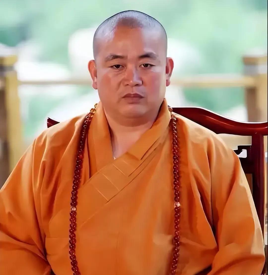 释方丈主持大师，听说被带走了，看这模样，方庭饱满，应该生活不差，希望不会是第二个
