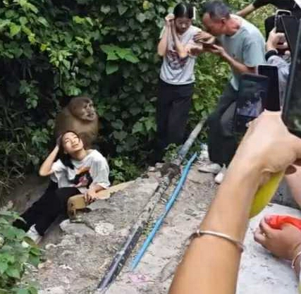 千万不要打它，容易踩缝纫机的！